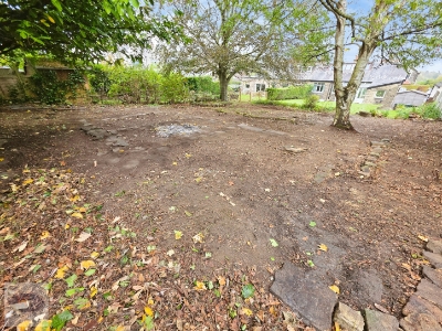 Picture 23